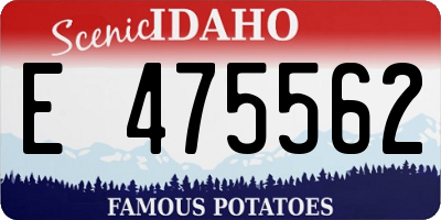 ID license plate E475562