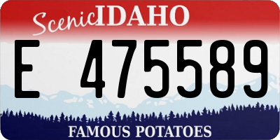 ID license plate E475589