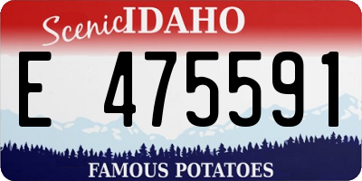 ID license plate E475591