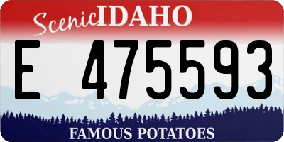 ID license plate E475593