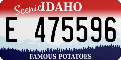 ID license plate E475596