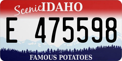 ID license plate E475598