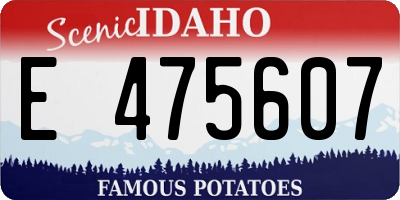 ID license plate E475607