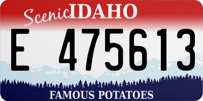 ID license plate E475613