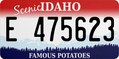 ID license plate E475623
