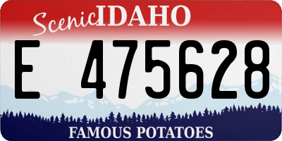 ID license plate E475628