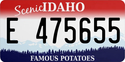 ID license plate E475655