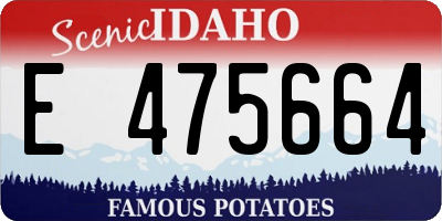 ID license plate E475664
