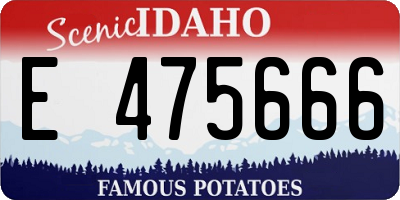 ID license plate E475666
