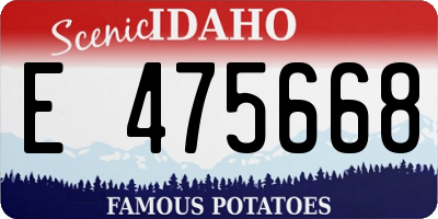 ID license plate E475668