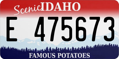ID license plate E475673