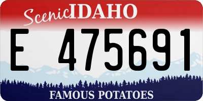 ID license plate E475691