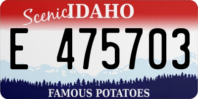 ID license plate E475703