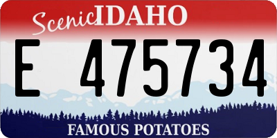 ID license plate E475734