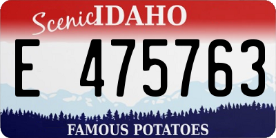 ID license plate E475763