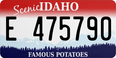 ID license plate E475790