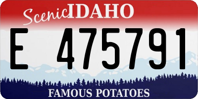 ID license plate E475791