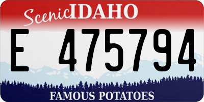 ID license plate E475794
