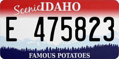 ID license plate E475823