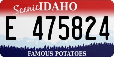 ID license plate E475824