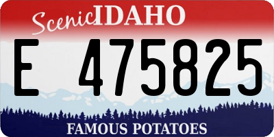 ID license plate E475825