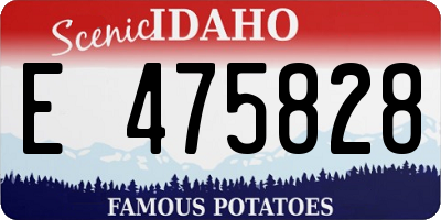 ID license plate E475828