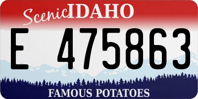 ID license plate E475863