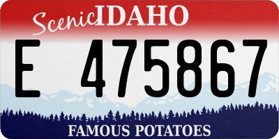 ID license plate E475867