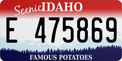 ID license plate E475869