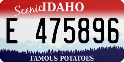 ID license plate E475896