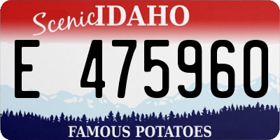 ID license plate E475960