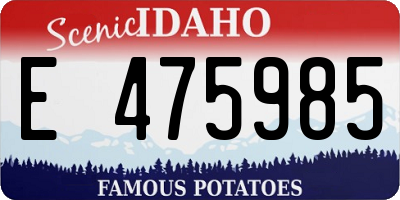 ID license plate E475985