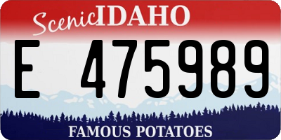 ID license plate E475989