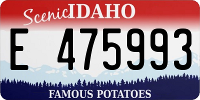 ID license plate E475993