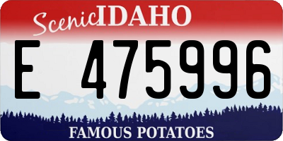 ID license plate E475996