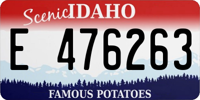 ID license plate E476263