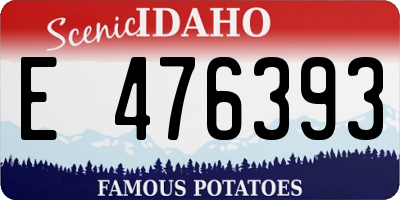ID license plate E476393