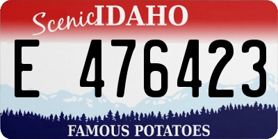 ID license plate E476423