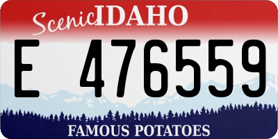 ID license plate E476559