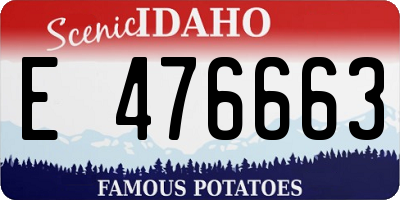 ID license plate E476663