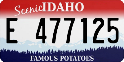 ID license plate E477125