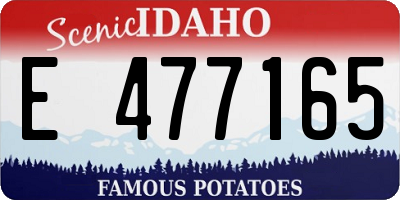 ID license plate E477165