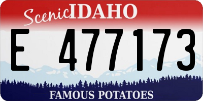 ID license plate E477173