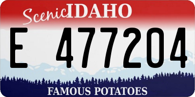 ID license plate E477204