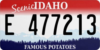 ID license plate E477213