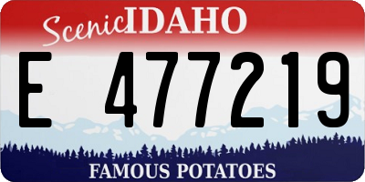 ID license plate E477219