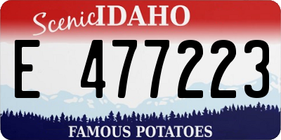 ID license plate E477223