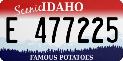 ID license plate E477225