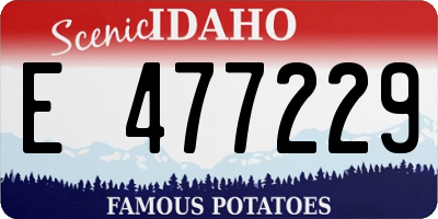 ID license plate E477229