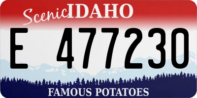 ID license plate E477230